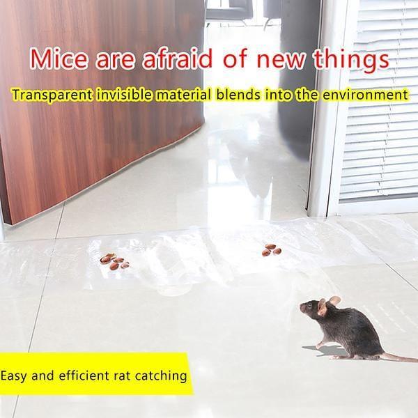 Transparent Rat Trap Magic  Carpet