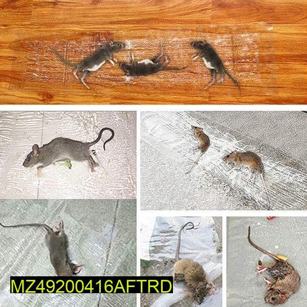 Transparent Rat Trap Magic  Carpet